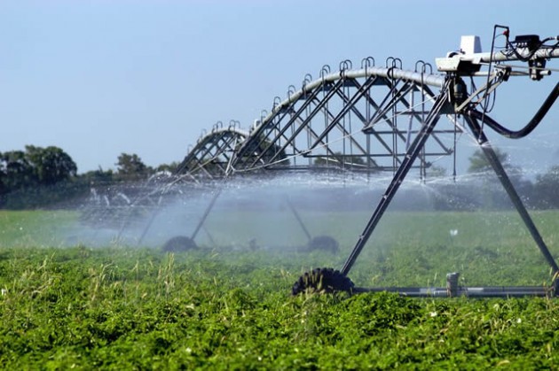 irrigate1