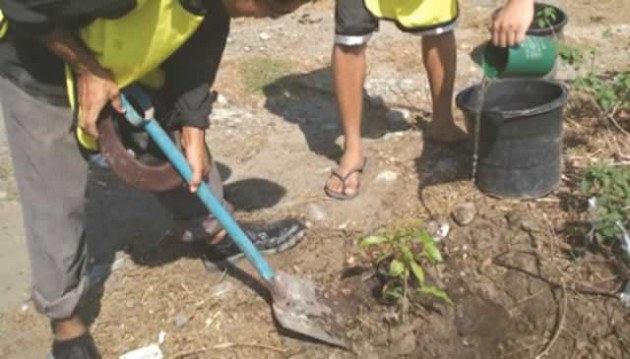 Zimbabwe commemorates National Tree Planting on the first Saturday of December each year. Trees have enormous effect in neutralising atmospheric concentrations of carbon dioxide and thus minimising the risk of dangerous climate change