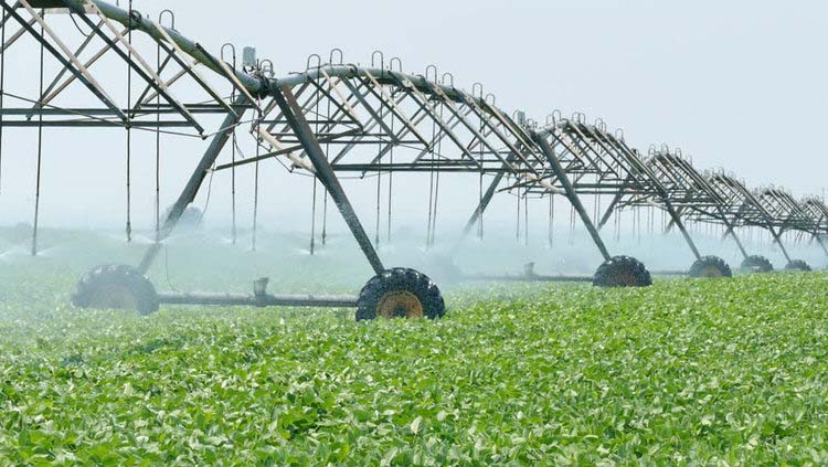 Vibrant irrigation schemes will improve sustainable food security