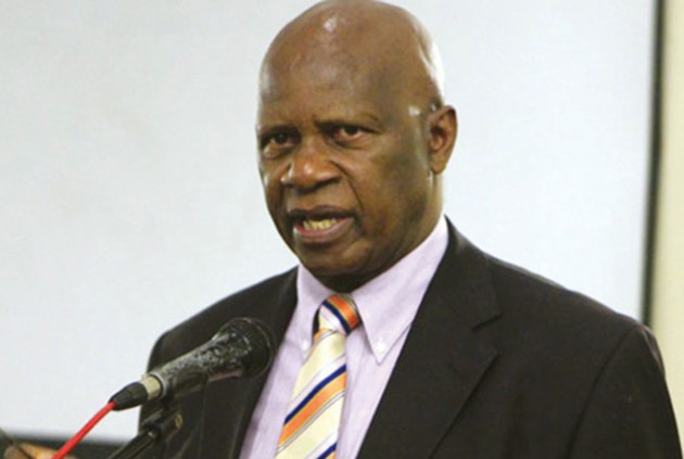 Minister Chinamasa