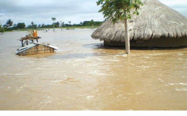 By Wednesday last week more than 1 038 rural homes had been damaged by floods