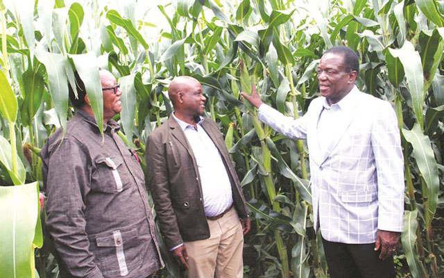 Vice President Emmerson Mnangagwa talks to Agriculture, Mechanisation and Irrigation Development Minister Joseph Made (left) and Minister of State in his Office Clifford Sibanda during a tour of Doreen’s Pride Farm in Kadoma yesterday.— (Picture by John Manzongo