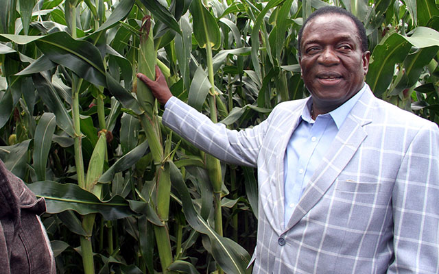 VP Mnangagwa