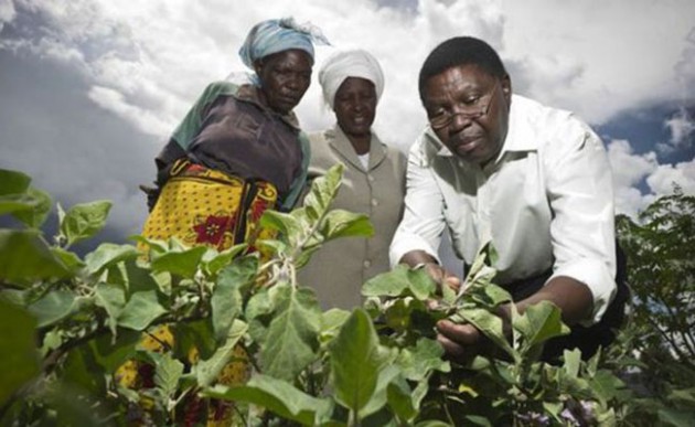 Collaborations in the agricultural sector will help improve yields and productivity