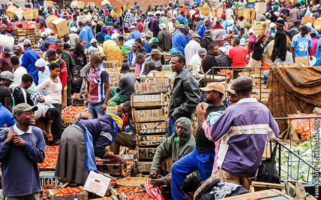 Mbare agricultural market has its own knowledge which has to be consolidated and connected with knowledge from other markets, producers, consumers, processors and others