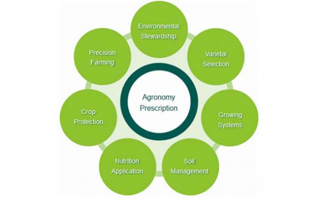 0612-1-1-AGRONOMY