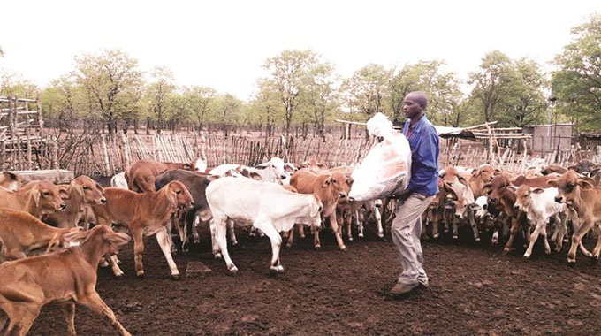 Govt in crop, livestock assessment