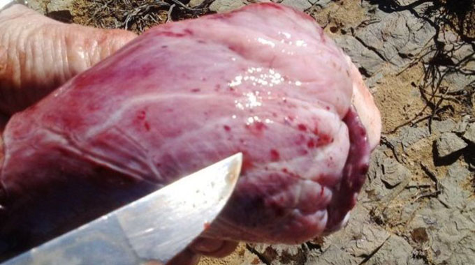 Farmers warned to wary of pulpy kidney