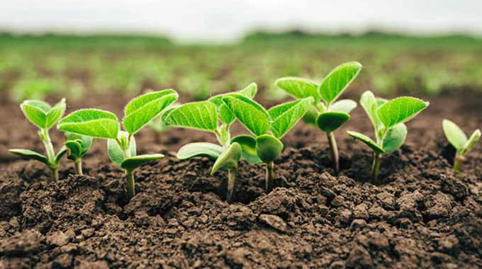 Embrace organic farming, farmers urged