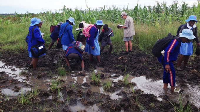 Wetlands key to Zim’s biodiversity