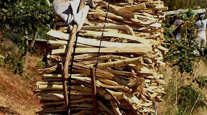 Adopt wood-saving technology — Govt