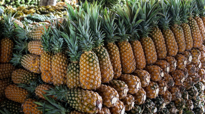 Farmers urged to grow more pineapples