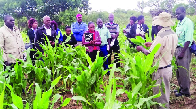 Safety nets critical for smallholder farmers