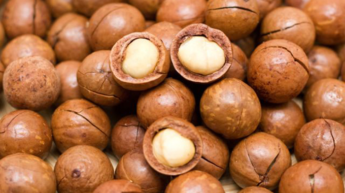 Macadamia output to grow 44pc