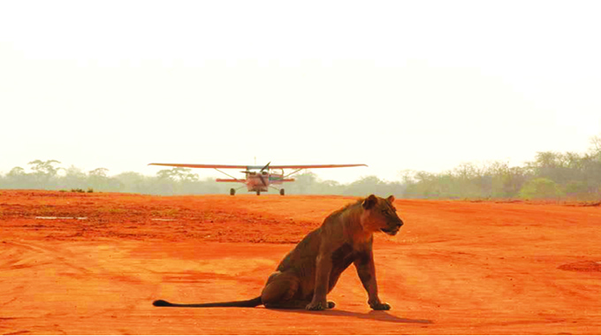 Zim seeks to improve domestic airstrips