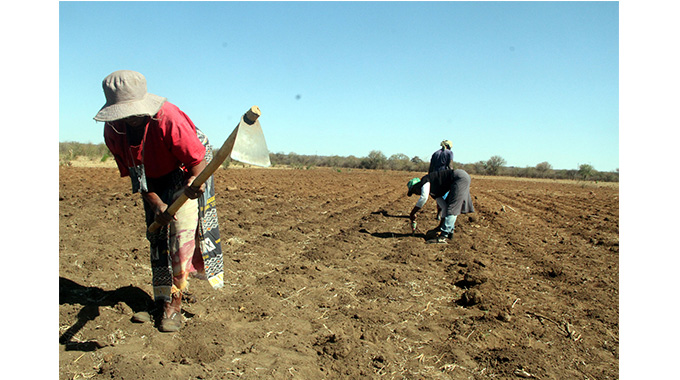 Farmers advised against planting