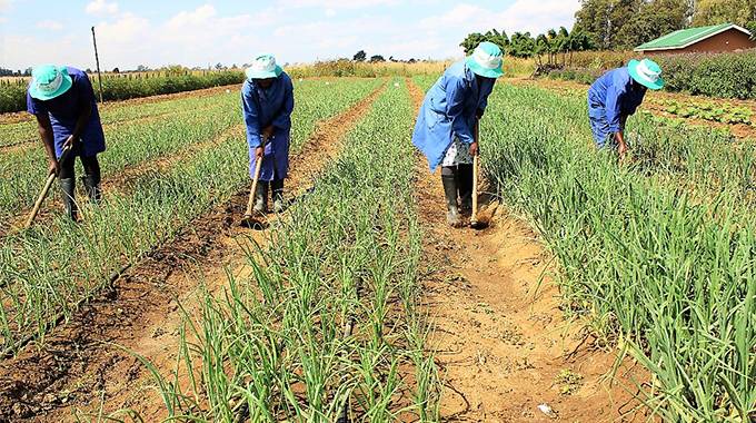 Private sector invests in Agric Centres of Excellence