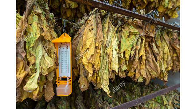 Editorial Comment: Tobacco farmers must plant more woodlots