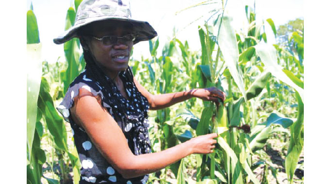 Policy inconsistencies, poor research hinder young farmers in Africa