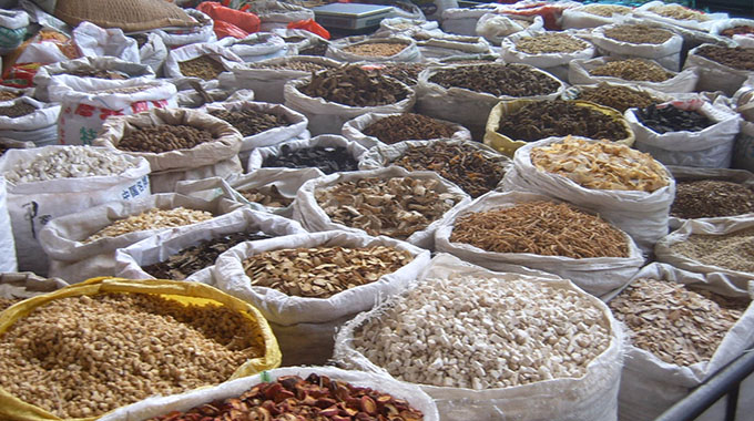 ‘Time to invest in traditional medicines’