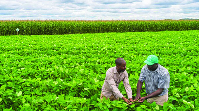 Zim maintains 7,4pc growth forecast on improved agricultural output