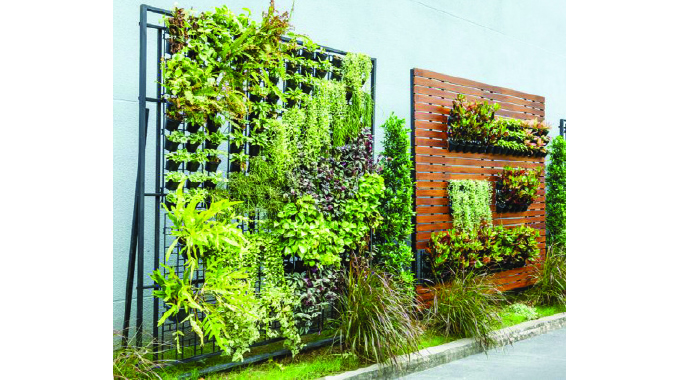 Taking care of your garden the vertical way