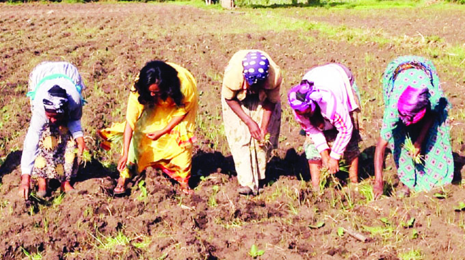 Women in agric need  more financial support