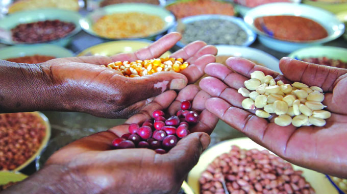 Food security starts with seed security