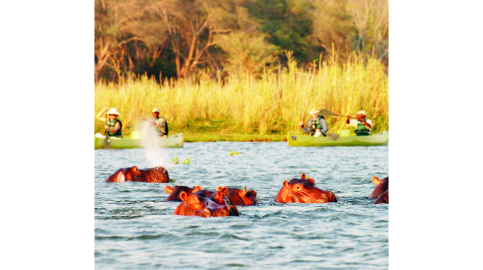 Untamed Zambezi National Park