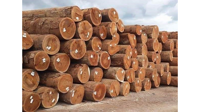 Illegal activities disrupting timber business