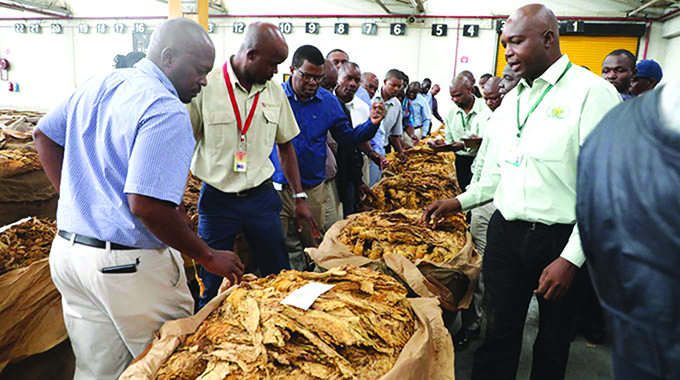 TIMB urged to dump tobacco pricing matrix