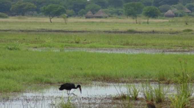 National wetlands master plan complete