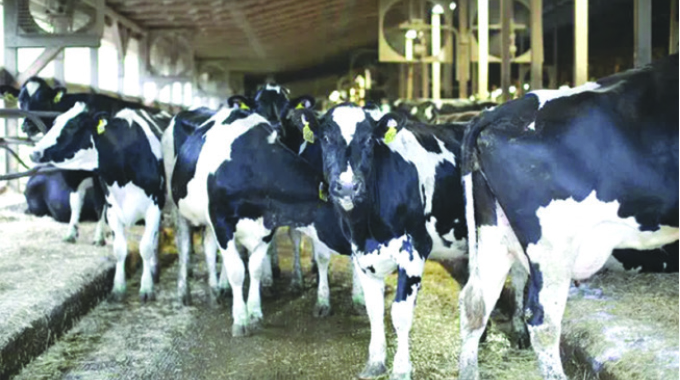 Annual raw milk output surges 12,66pc