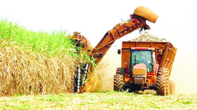 Zim sugar sales jump 23 percent