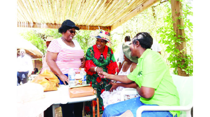 First Lady Dr Auxillia Mnangagwa Hosts Successful Meeting Of African ...